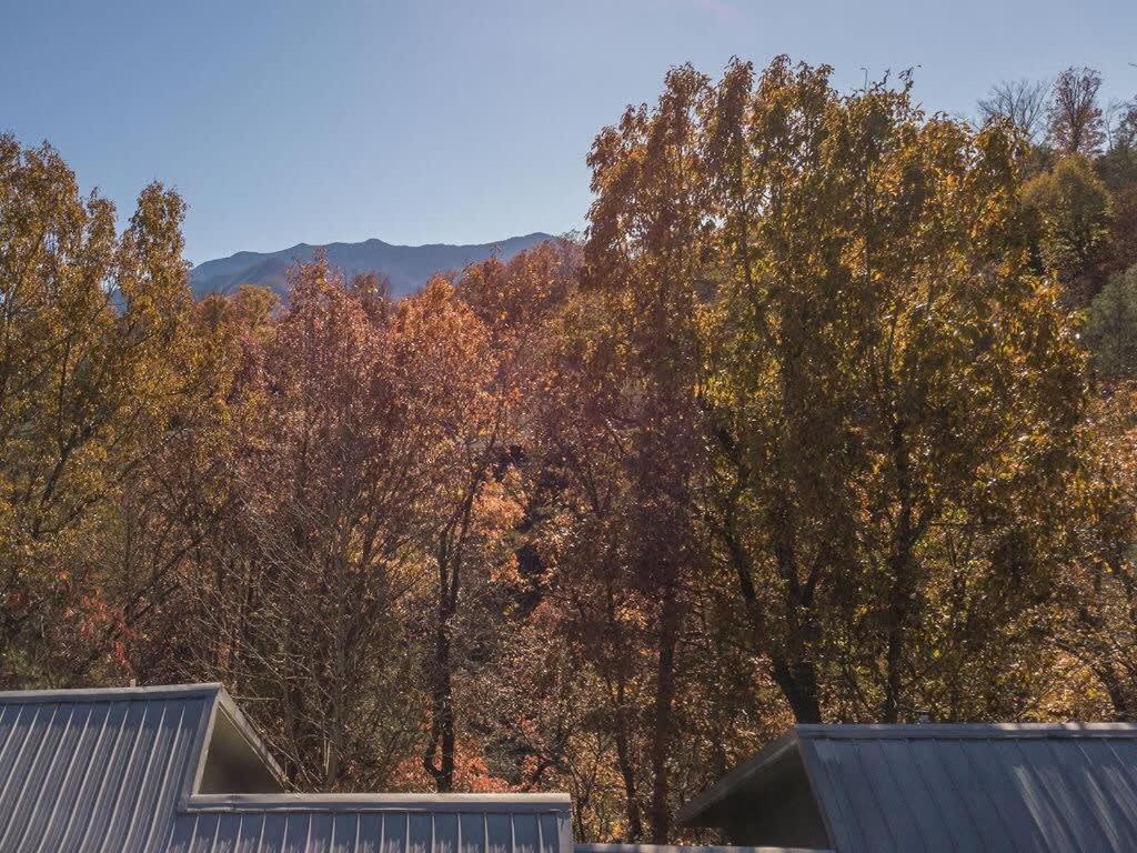 Sasquatch Lodge E Sleeps 13 Gatlinburg Zewnętrze zdjęcie